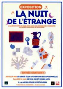 La nuit de l'Étrange - À la découverte de quelques unes des nombreuses curiosités du musée municipal de Pithiviers