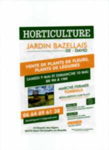 Marché fermier et vente de plants
