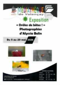 Exposition de photos