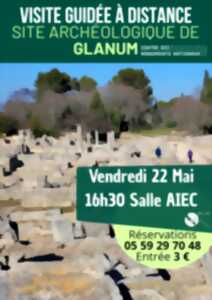 photo Visite guidée à distance - site archéologique de Glanum