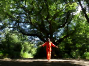 photo Stage de QI GONG