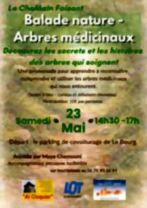 Balade nature : arbres médicinaux à le Bourg