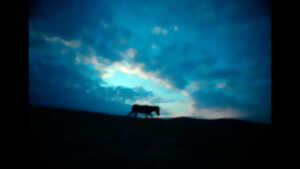 FILM DOCUMENTAIRE