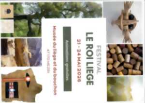 photo Festival le roi liège