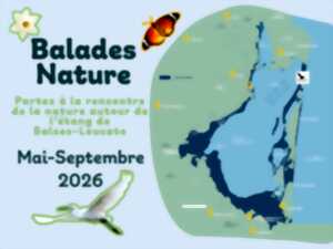 photo BALADES NATURE