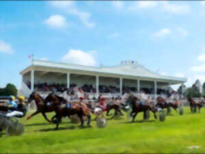 Courses hippiques : trot attelé