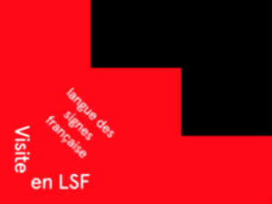 photo Visite en LSF
