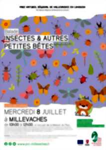 Atelier insectes et autres petites bêtes