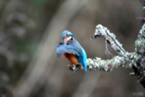 Exposition photo