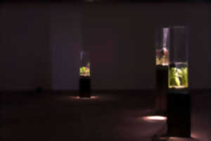 photo Exposition 