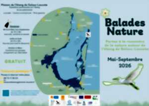 BALADE NATURE - LES SECRETS DE LA FLORE