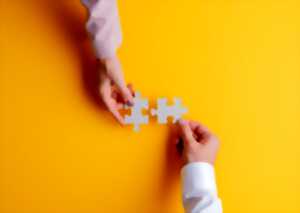 Animation familles : Atelier puzzle