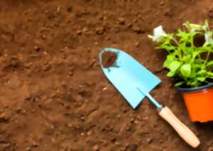 Animation familles : Jardinage