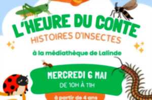 L'heure du conte | Histoires d'insectes