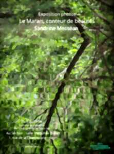 photo Exposition photos « Le Marais, conteur de beautés » par Sandrine Messéan à Niort