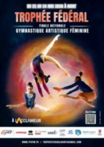 photo Les Championnats de France de Gymnastique Artistique Féminine (finale fédérale) à Niort