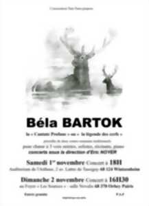 Concert - Béla Bartok