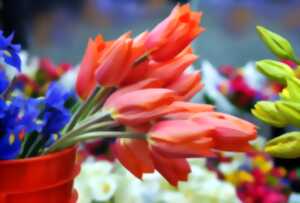 Marché aux fleurs