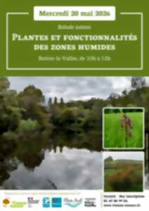 Balade nature : plantes et fonctionnalités des zones humides