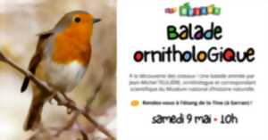 Balade ornithologique