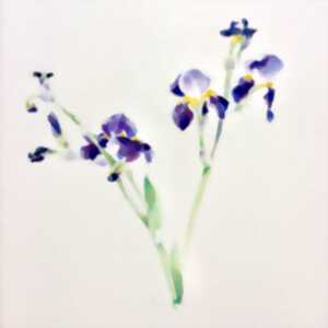 photo Exposition Peintures & Dessins de Marie-Sophie Mejan