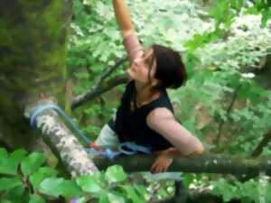 Été Actif - Grimpe d'arbre