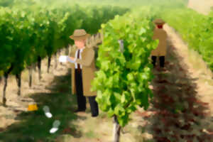 photo Cluedo géant dans les vignes | Château du Haut Pezaud