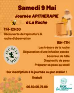 photo Journée Apithérapie