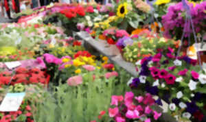 photo Marché printanier