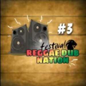 photo Reggae Dub Nation #3