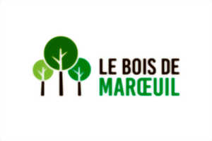 Bois départemental de Maroeuil - Les arbres aux mille couleurs