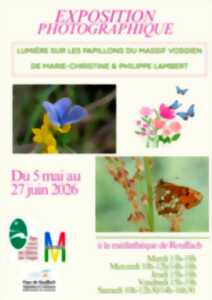 Expo photo : Lumière sur les papillons du massif vosgien