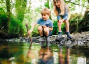 photo Balade nature