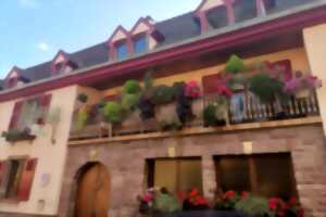 Pique-nique chez le Vigneron Indépendant - Domaine Aimé Stentz