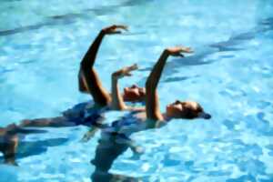 Gala du Club de Natation Artistique