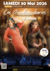 photo Spectacle de danse orientale