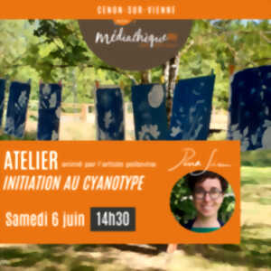 photo Atelier créatif : cyanotype avec PenaSim
