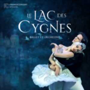 photo Le Lac des Cygnes - Ballet & Orchestre - Tournée 2026