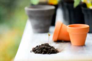Petits chantiers au jardin