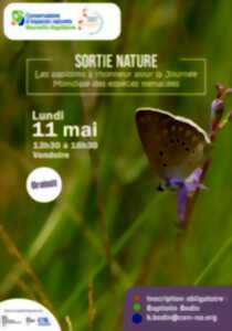Sortie nature