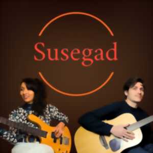 photo Concert avec Susegad