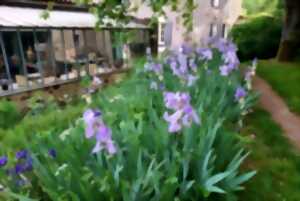 photo Rendez-vous aux jardins : Visite du 