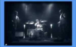 photo Concert - Cigogne