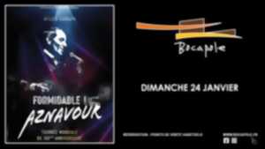 photo Spectacle - Formidable ! Aznavour