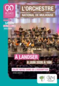 photo Orchestre National de Mulhouse - Le Royaume d'Instrus