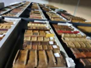 Visite des collections patrimoniales de la médiathèque de Haguenau