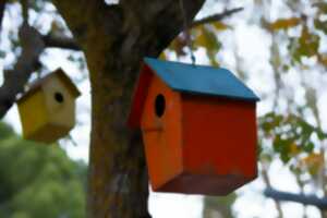 photo Fête de la nature : atelier nichoir et observation des oiseaux