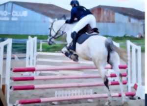Concours Saut d'obstacles