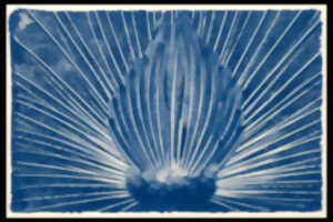 photo Exposition | Philippe GILLOTTE - Photographie
