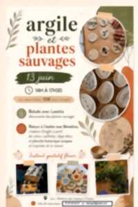 photo Argile et plantes sauvages